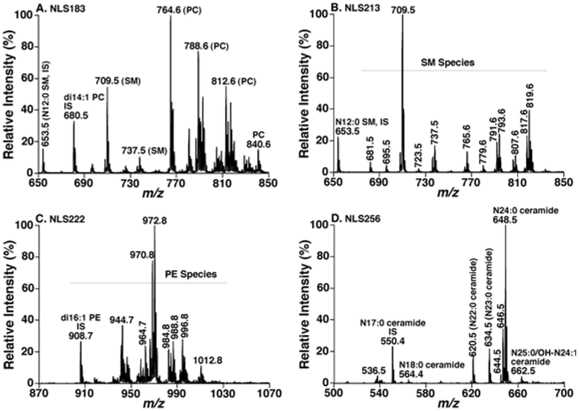 A figure from Metabolomics in Early Alzheimer's Disease: Identification of Altered Plasma Sphingolipidome Using Shotgun Lipidomics Lipidomics in Alzheimer's Disease