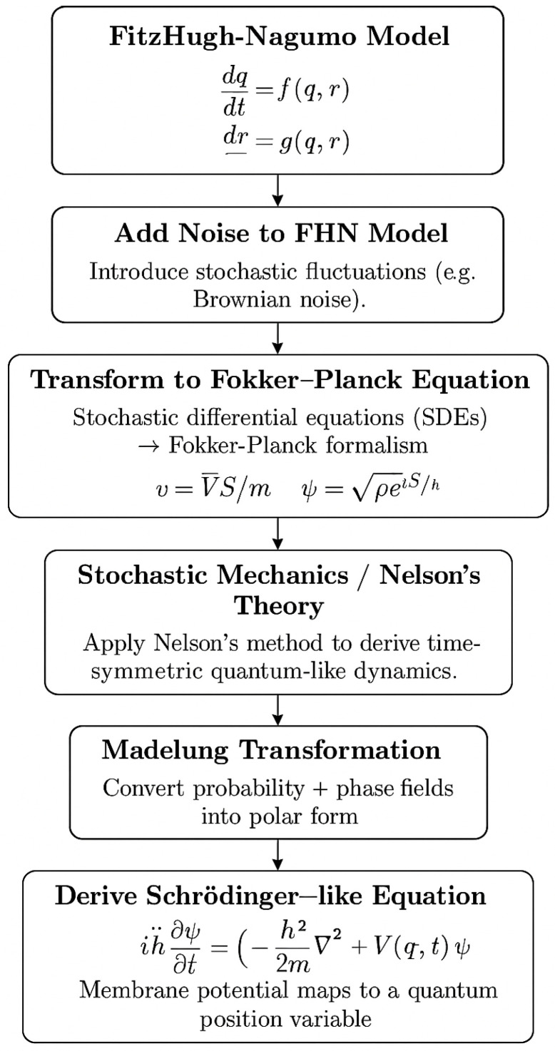 A figure from NeuroQ: Quantum-Inspired Brain Emulation