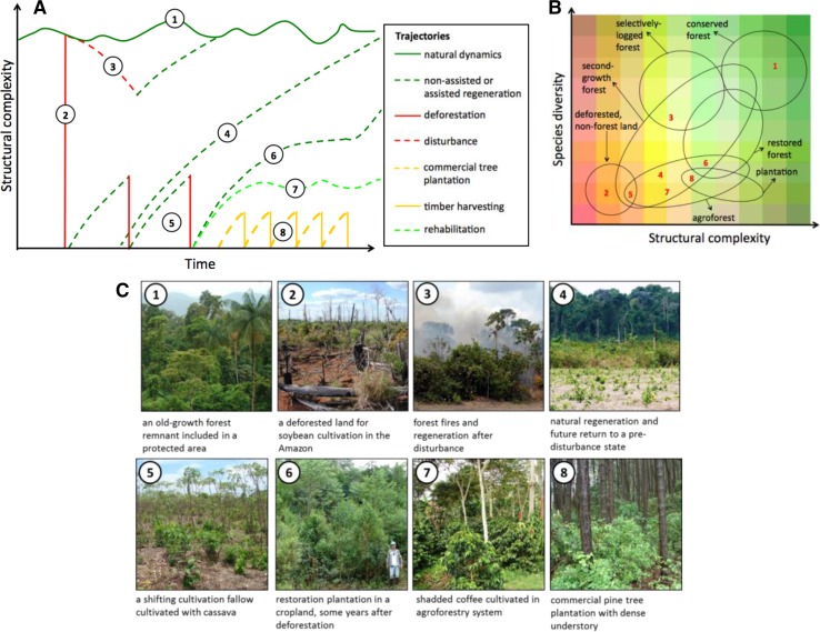 A figure from When is a forest a forest? Forest concepts and definitions in the era of forest and landscape restoration