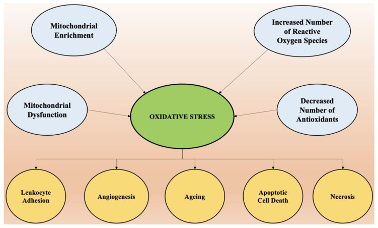A figure from Current Trends in Neurodegeneration: Cross Talks between Oxidative Stress, Cell Death, and Inflammation