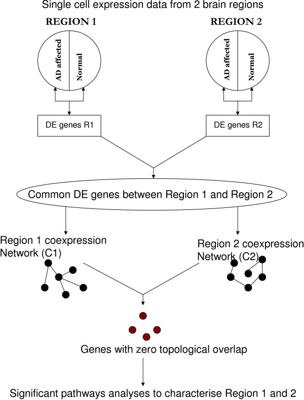 A figure from Analysis of Alzheimer's disease severity across brain regions by topological analysis of gene co-expression networks
