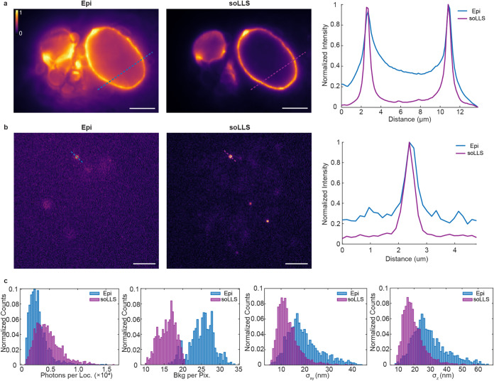 A figure from Single-Objective Lattice Light Sheet Microscopy with Microfluidics for Single-Molecule Super-Resolution Imaging of Mammalian Cells