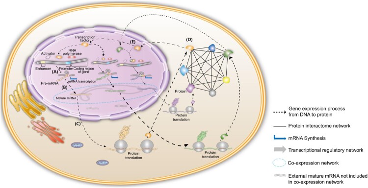 A figure from How to interpret and integrate multi-omics data at systems level ANIMAL CELLS AND SYSTEMS G. T. JUNG ET AL.