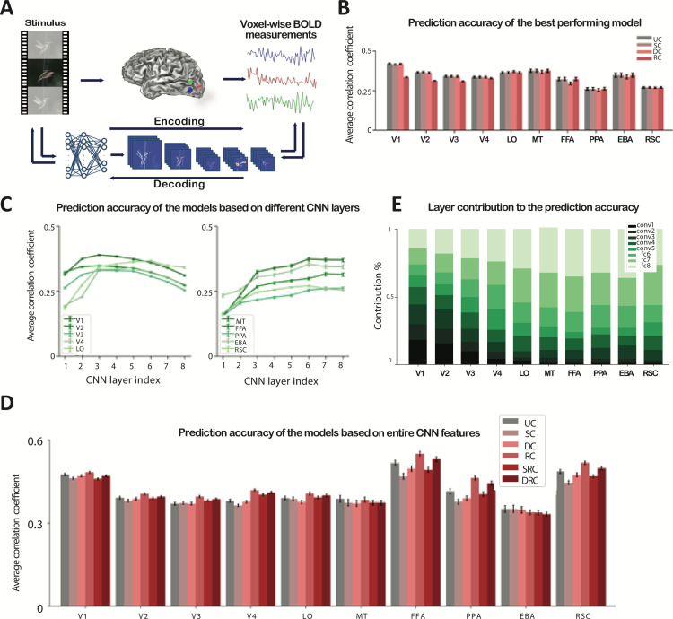 A figure from Compression-enabled interpretability of voxelwise encoding models Compression-enabled interpretability of voxelwise encoding models