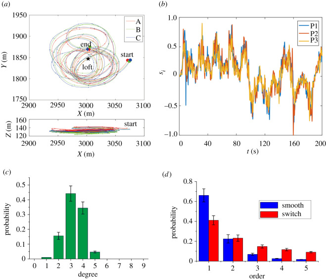 A figure from Coordinating directional switches in pigeon flocks: the role of nonlinear interactions Coordinating directional switches in pigeon flocks: the role of nonlinear interactions