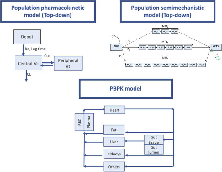 A figure from State of Art of Dose Individualization to Support tacrolimus drug monitoring: What’s Next? Lloberas et al. Tac TDM: What’s Next?
