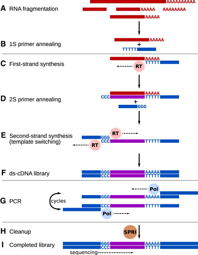 A figure from Gene expression profiling of single cells from archival tissue with laser-capture microdissection and Smart-3SEQ Foley et al. Gene expression profiling with Smart-3SEQ