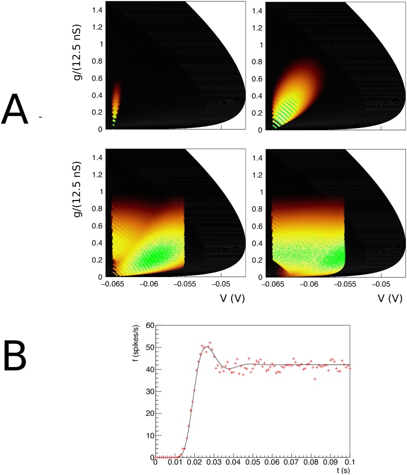 A figure from Computational geometry for modeling neural populations: From visualization to simulation Computational geometry for modeling neural populations