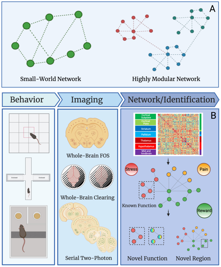 A figure from The Hidden Brain: Uncovering Previously Overlooked Brain Regions by Employing Novel Preclinical Unbiased Network Approaches