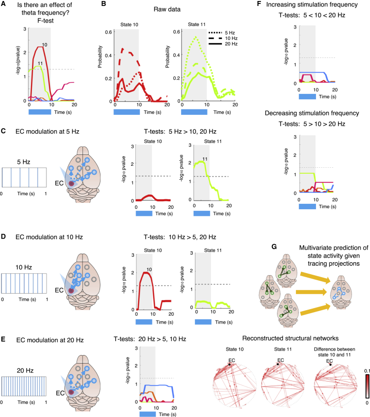 A figure from Frequency modulation of entorhinal cortex neuronal activity drives distinct frequency-dependent states of brain-wide dynamics