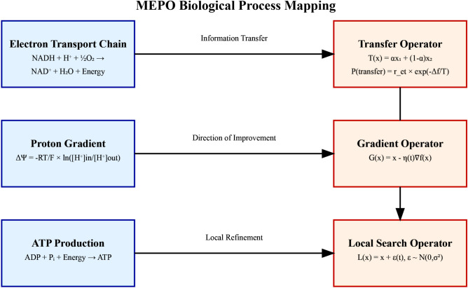 A figure from Bio-inspired mitochondrial energy optimization for enhanced grid-connected inverter performance in weak grid systems