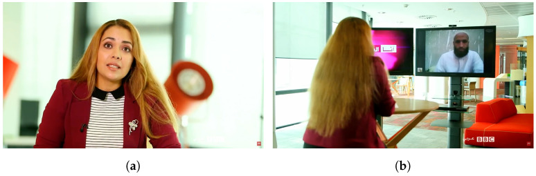 A figure from “In the Wild” Video Content as a Special Case of User Generated Content and a System for Its Recognition