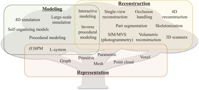 A figure from 3D modeling and reconstruction of plants and trees: A cross-cutting review across computer graphics, vision, and plant phenotyping 3D modeling and reconstruction of plant and trees: A review