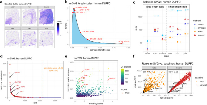 A figure from nnSVG for the scalable identification of spatially variable genes using nearest-neighbor Gaussian processes
