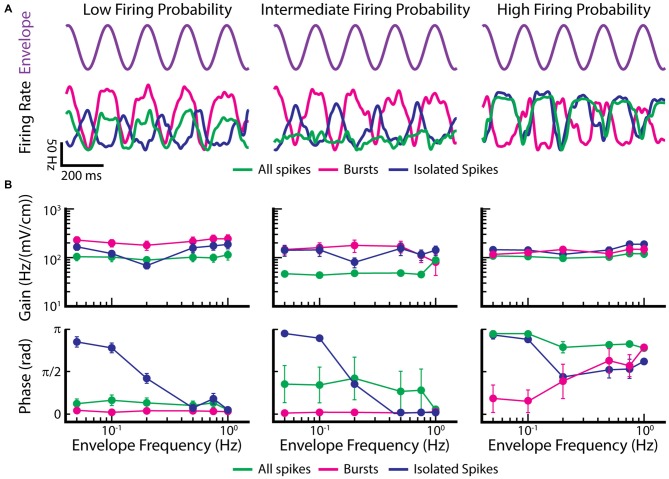 A figure from Burst Firing in the Electrosensory System of Gymnotiform Weakly Electric Fish: Mechanisms and Functional Roles