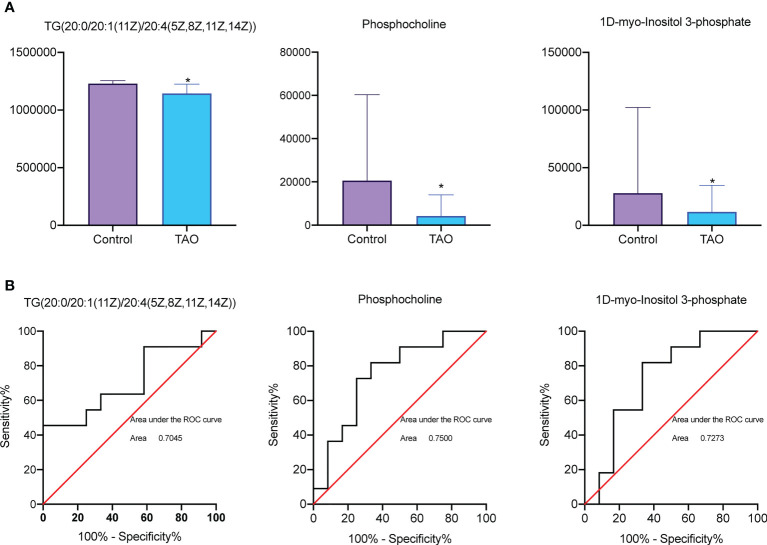 A figure from Integrative metabolic analysis of orbital adipose/connective tissue in patients with thyroid-associated ophthalmopathy