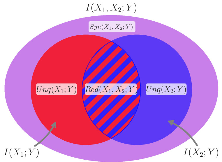 A figure from Untangling Synergistic Effects of Intersecting Social Identities with Partial Information Decomposition
