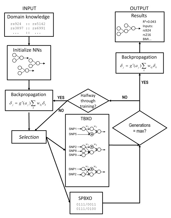 A figure from ATHENA: A knowledge-based hybrid backpropagation-grammatical evolution neural network algorithm for discovering epistasis among quantitative trait Loci