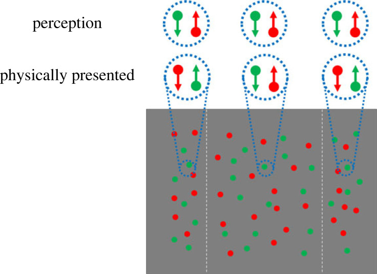 A figure from Infants' visual perception without feature-binding Infants' visual perception without feature-binding