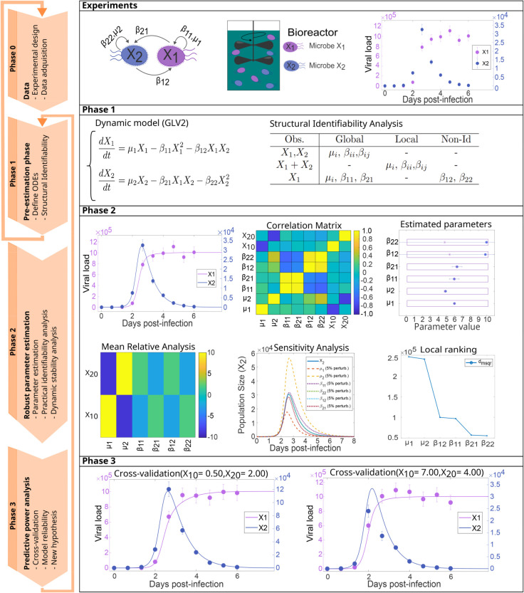 A figure from Identification of dynamic models of microbial communities: A workflow addressing identifiability and modeling pitfalls Dynamic modeling of microbial communities