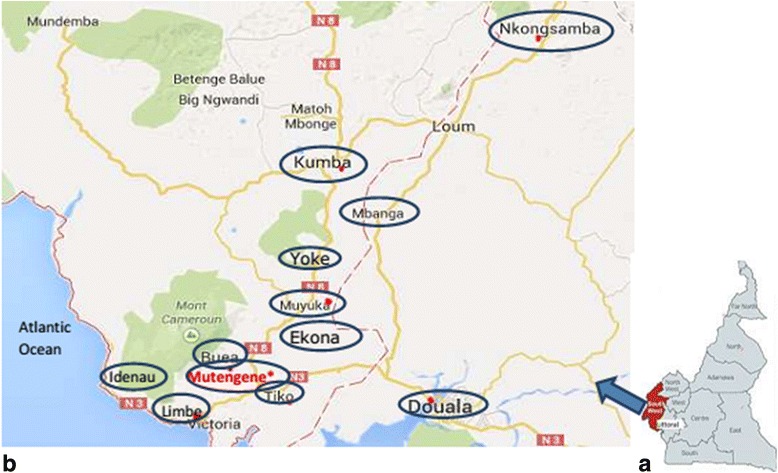 A figure from Serologic and genotypic characterization of hepatitis B virus in HIV-1 infected patients from South West and Littoral Regions of Cameroon