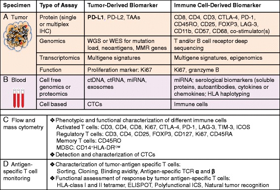 A figure from Current status and perspectives in translational biomarker research for PD-1/PD-L1 immune checkpoint blockade therapy