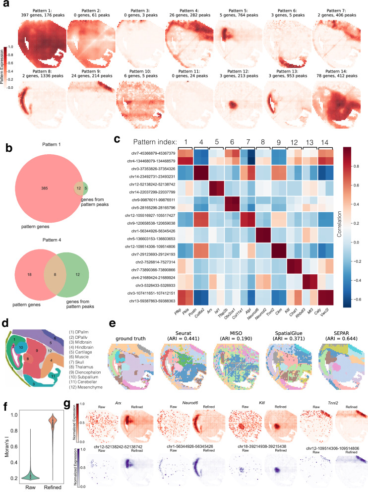 A figure from SEPAR enables spatial metagene discovery and associated molecular pattern characterization in spatial transcriptomics and multi-omics datasets