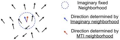 A figure from Fluctuation-Driven Flocking Movement in Three Dimensions and Scale-Free Correlation Fluctuation-Driven Flocking Movement