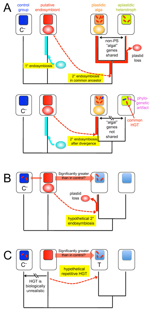 A figure from Experimental design and statistical rigor in phylogenomics of horizontal and endosymbiotic gene transfer