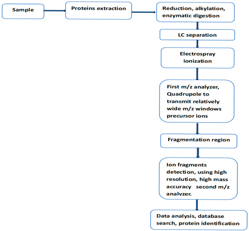 A figure from Isoforms of Phosphorylated Tau as Potential Biomarkers for Alzheimer’s Disease: The Contribution of Mass Spectrometry-Based Proteomics