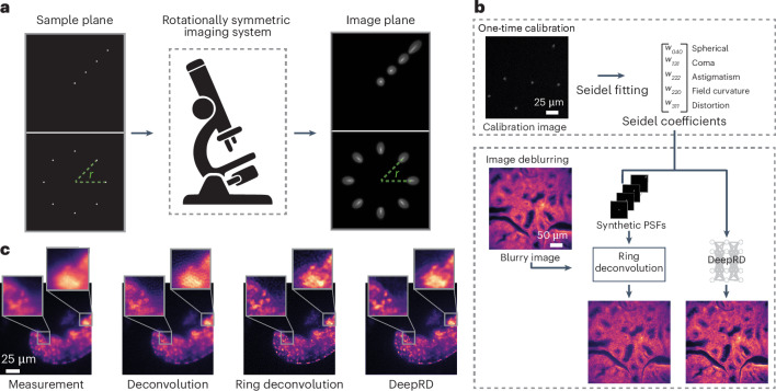 A figure from Ring deconvolution microscopy: exploiting symmetry for efficient spatially varying aberration correction