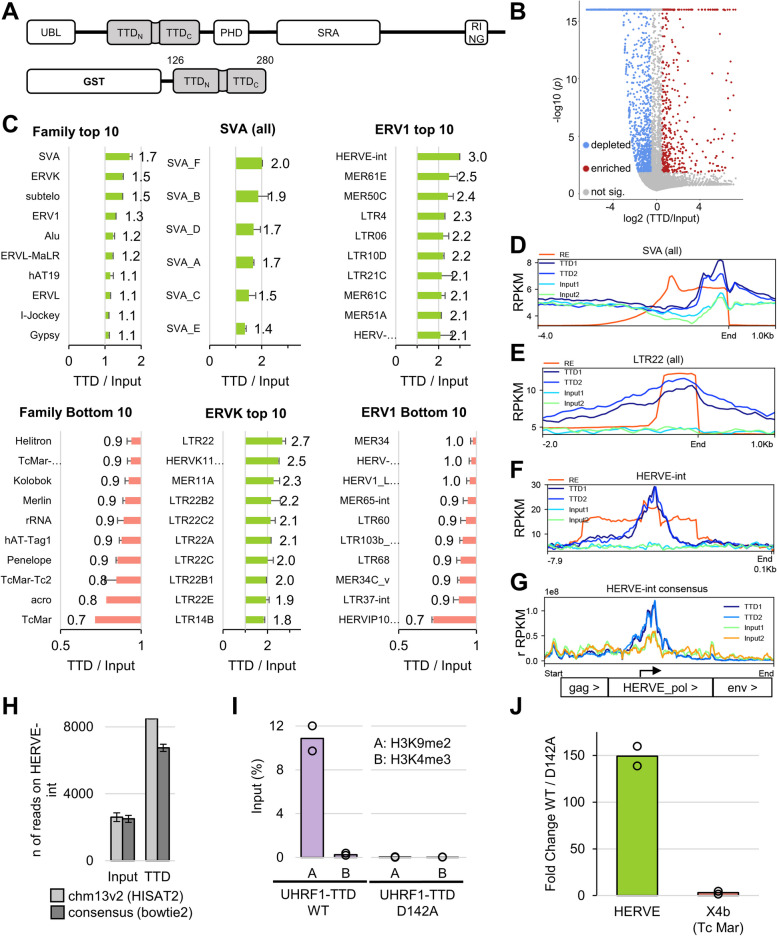 A figure from RepEnTools: an automated repeat enrichment analysis package for ChIP-seq data reveals hUHRF1 Tandem-Tudor domain enrichment in young repeats