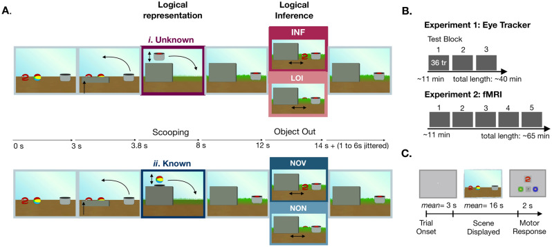 A figure from Seeing inferences: brain dynamics and oculomotor signatures of non-verbal deduction