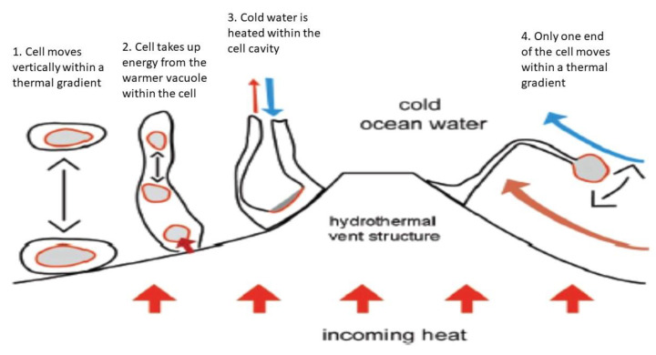A figure from Evaluating the Microbial Habitability of Rogue Planets and Proposing Speculative Scenarios on How They Might Act as Vectors for Panspermia