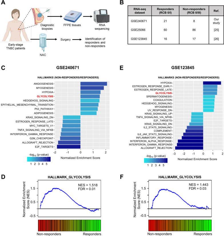 A figure from Metabolic adaptation towards glycolysis supports resistance to neoadjuvant chemotherapy in early triple negative breast cancers