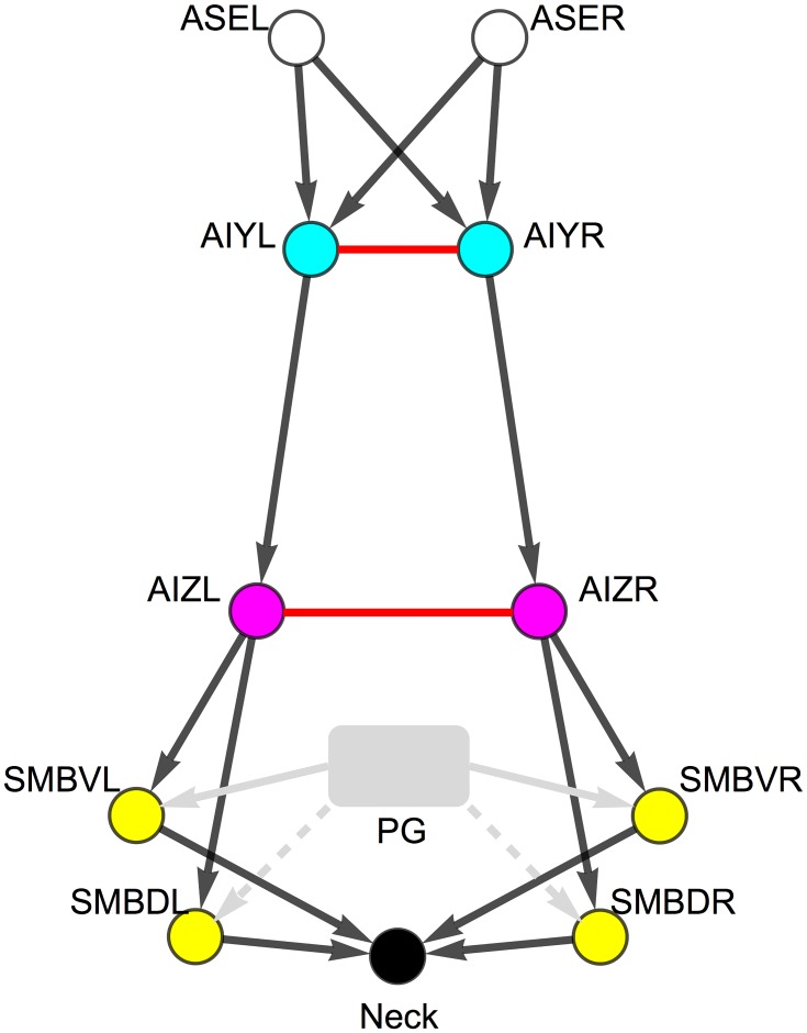A figure from Information Flow through a Model of the <i> C. elegans </i> Klinotaxis Circuit Information Flow through a Model of the <i> C. elegans </i> Klinotaxis Circuit