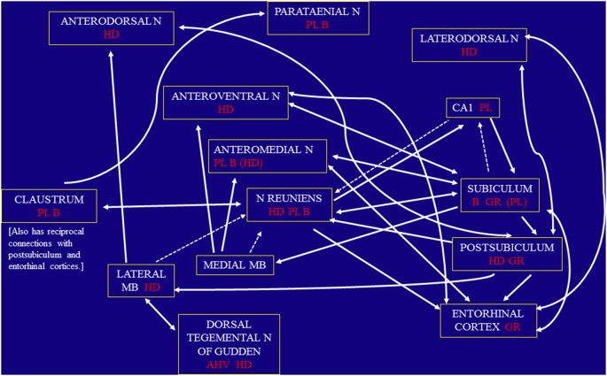 A figure from Space and Memory (Far) Beyond the Hippocampus: Many Subcortical Structures Also Support Cognitive Mapping and Mnemonic Processing