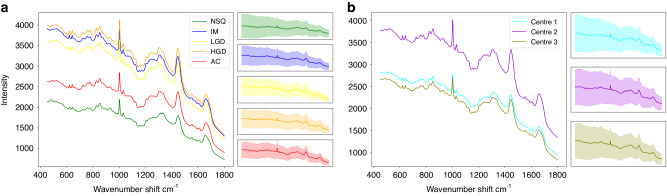A figure from System transferability of Raman-based oesophageal tissue classification using modern machine learning to support multi-centre clinical diagnostics