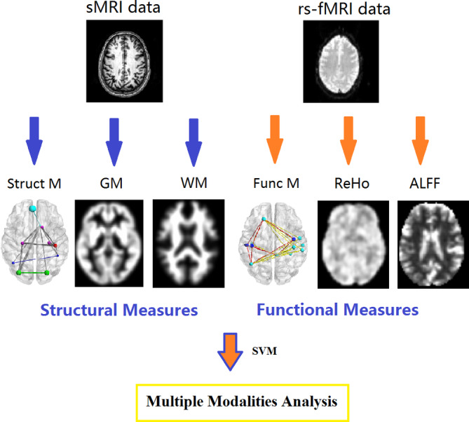 A figure from Integrating machining learning and multimodal neuroimaging to detect schizophrenia at the level of the individual Lei et al.