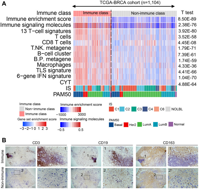 A figure from Establishment of a tumor immune microenvironment-based molecular classification system of breast cancer for immunotherapy