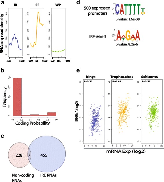 A figure from Genome-wide identification of novel intergenic enhancer-like elements: implications in the regulation of transcription in <i> Plasmodium falciparum </i>