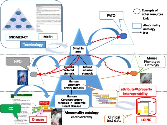 A figure from Disease Compass– a navigation system for disease knowledge based on ontology and linked data techniques