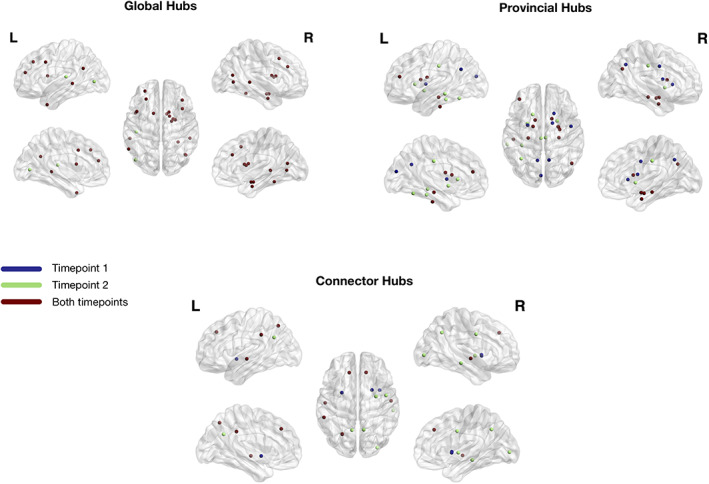 A figure from A novel method for estimating connectivity‐based parcellation of the human brain from diffusion MRI : Application to an aging cohort Coelho et al.