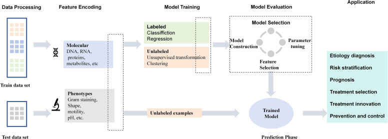 A figure from The application of machine learning in clinical microbiology and infectious diseases