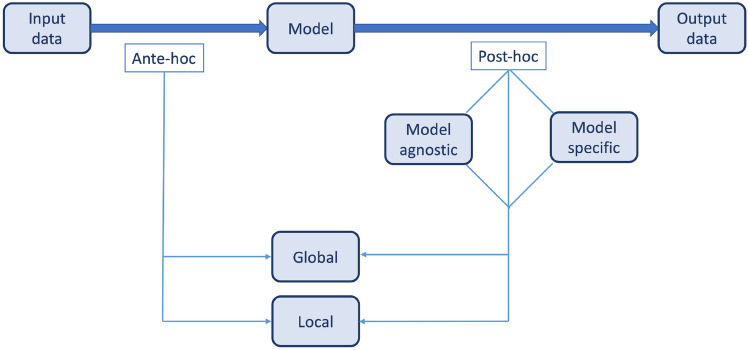 A figure from Explainable AI in radiology: a white paper of the Italian Society of Medical and Interventional Radiology
