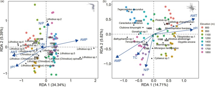 A figure from Drivers of Centipede and Spider Diversity and Biomass Along an Elevation Gradient on Changbai Mountain, China