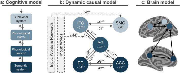 A figure from The angular gyrus serves as an interface between the non-lexical reading network and the semantic system: evidence from dynamic causal modeling