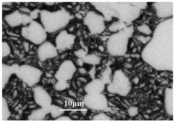 A figure from Characterization and Analysis of Strain Heterogeneity at Grain-Scale of Titanium Alloy with Tri-Modal Microstructure during Tensile Deformation