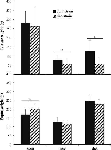 A figure from Transcript expression plasticity as a response to alternative larval host plants in the speciation process of corn and rice strains of <i> Spodoptera frugiperda </i>
