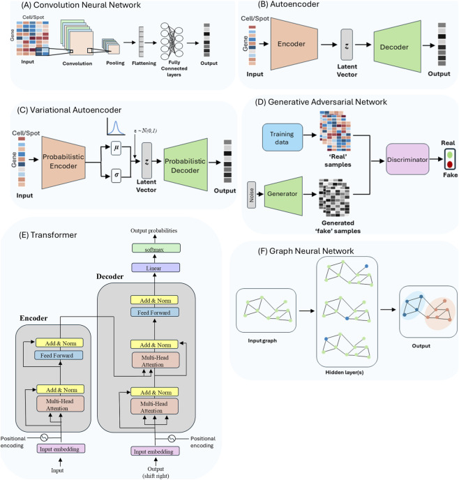 A figure from Applications of AI to single-cell and spatial transcriptomics: current state-of-the-art and challenges Tchatchoua Ngassam et al. 10.3389/fbinf.2025.1715821